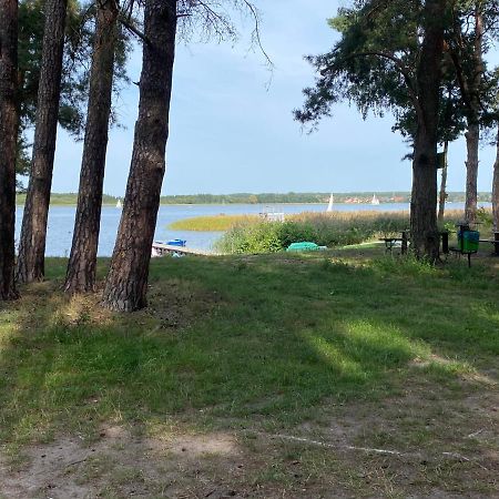 Apartament Wiewiorka Radzyń Kültér fotó