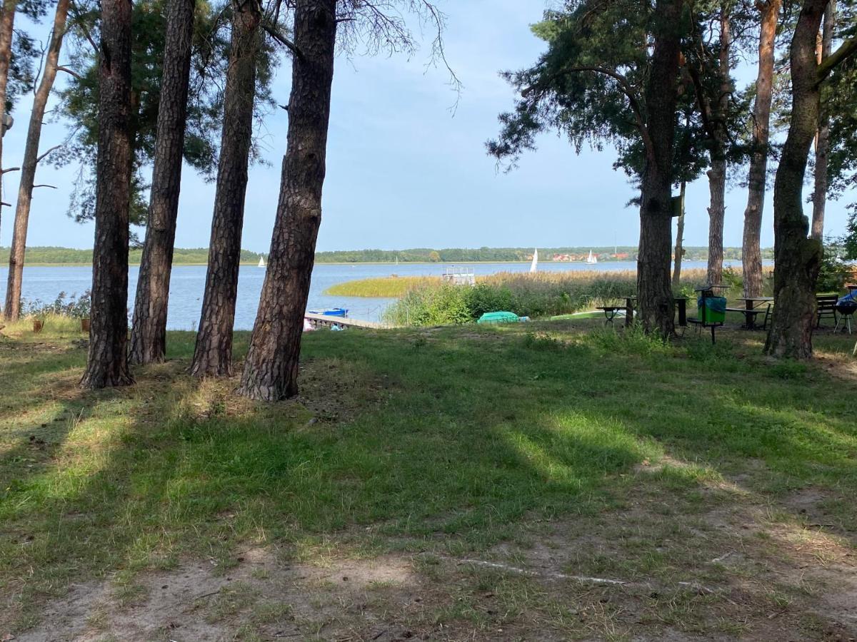 Apartament Wiewiorka Radzyń Kültér fotó